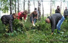 В Камешкирской средней школе состоялась экологическая акция