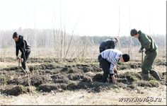 В Камешкирском районе прошел день посадки леса | Новь
