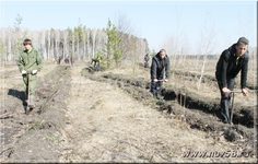 В Камешкирском районе прошел день посадки леса | Новь