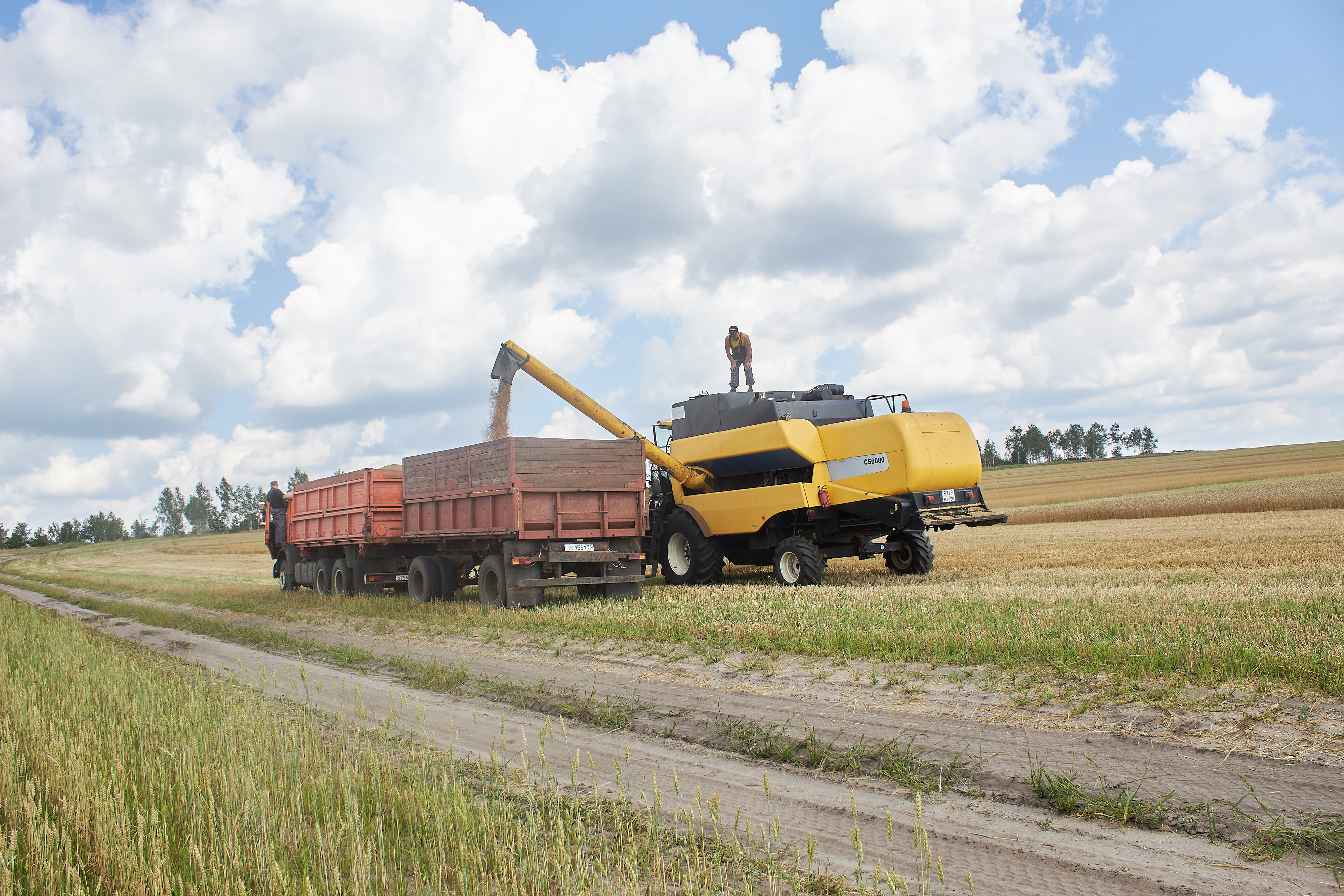 В Камешкирском районе собрано 15,5 тыс. тонн зерна