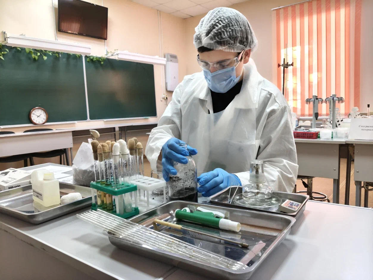 ������� ���������� ������� �������� � ������ ���������������� ����� �������� &laquo;�������������&raquo;